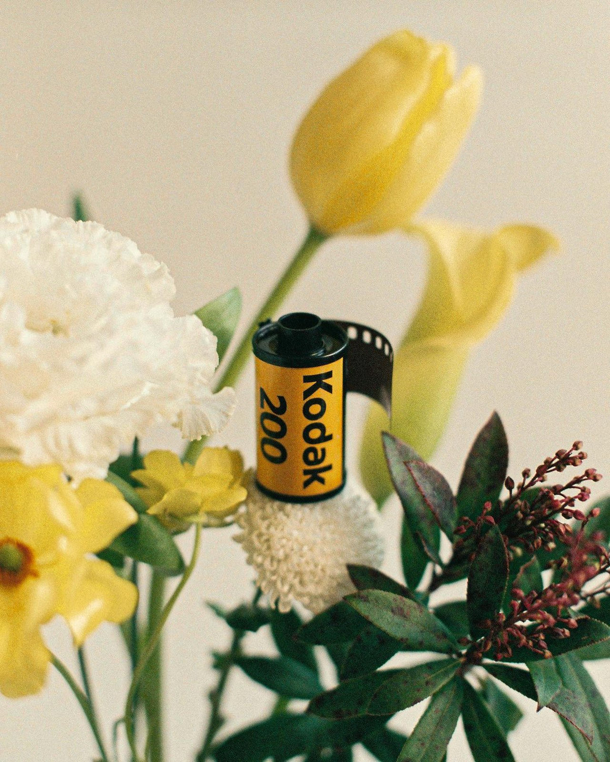 KODAK GOLD 200 - fotografia 1