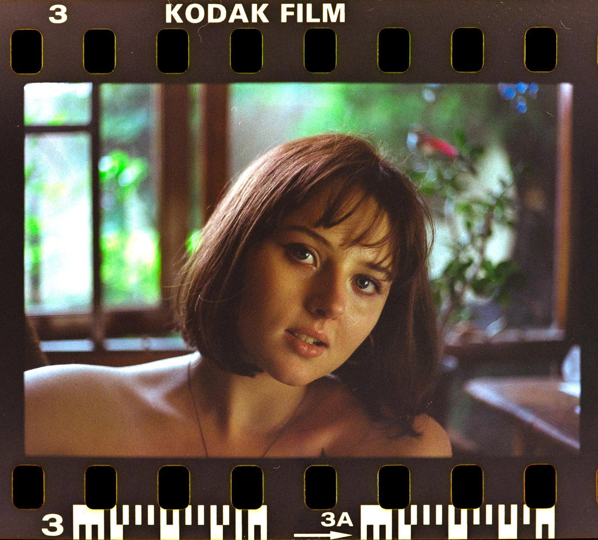 KODAK GOLD 200 - fotografia 5