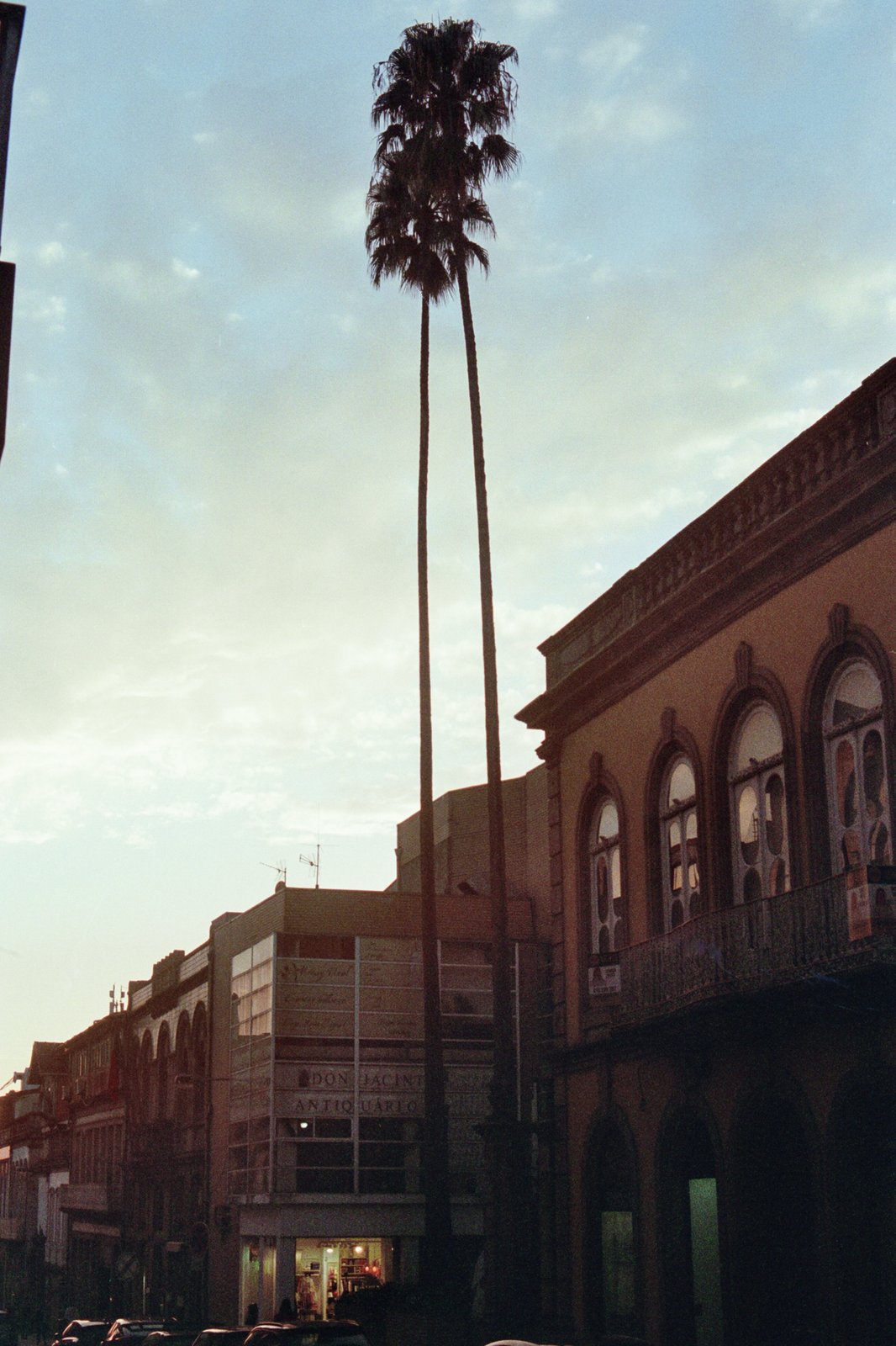 Kodak Vision 3 - fotografia 4